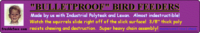 birdfeeder banner
